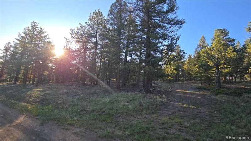 Chubb Ct, Buena Vista, CO 81211