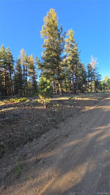 Chubb Ct, Buena Vista, CO 81211