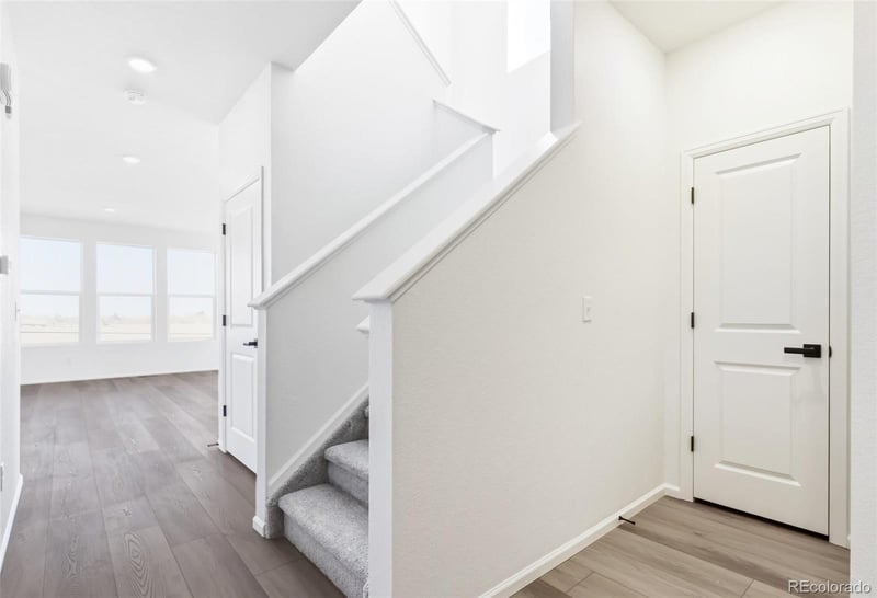 1081 Mourning Dove Ave, Erie, CO 80516