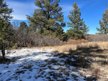 6764 Yampa Dr, Larkspur, CO 80118