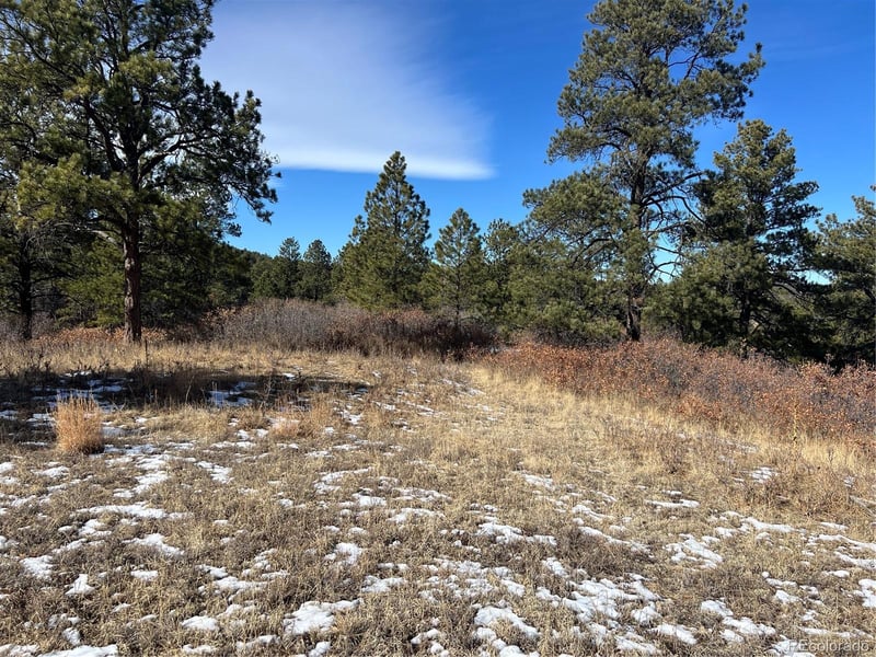 6764 Yampa Dr Lot 9, Larkspur, CO 80118