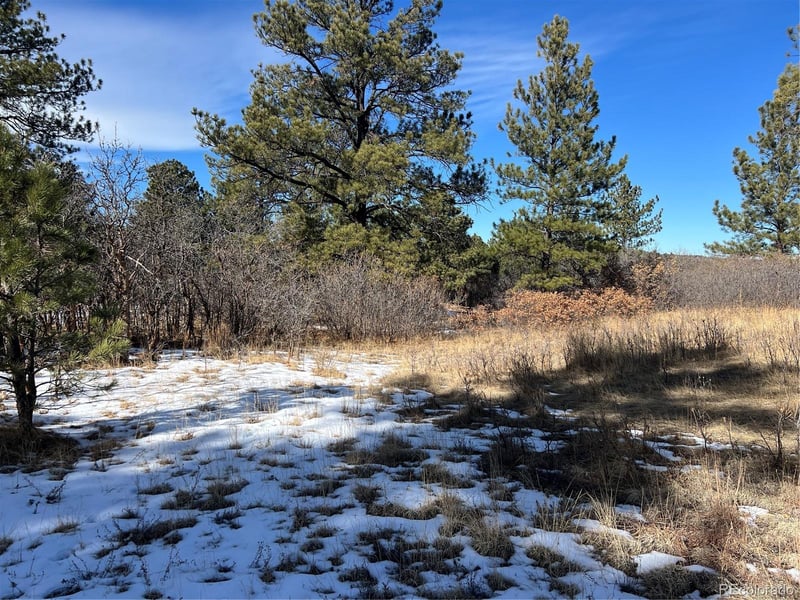 6764 Yampa Dr Lot 9, Larkspur, CO 80118