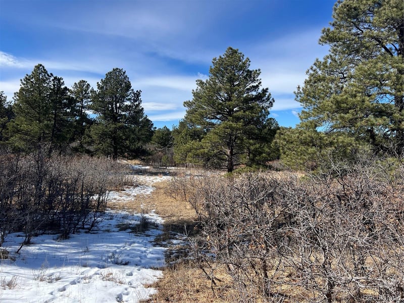 6764 Yampa Dr Lot 9, Larkspur, CO 80118