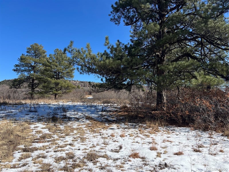 6764 Yampa Dr Lot 9, Larkspur, CO 80118