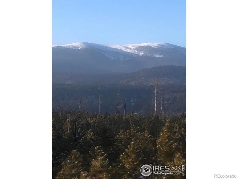 2315 Ridge Rd, Nederland, CO 80466