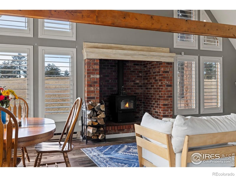 100 Cucharas Mountain Ct, Livermore, CO 80536