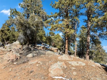 Conifer Cir, Florissant, CO 80816