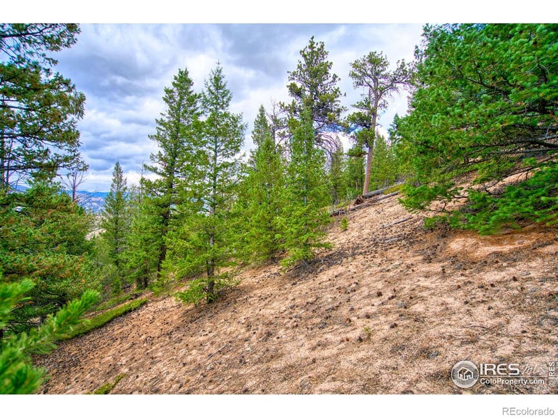 Windham Dr, Estes Park, CO 80517