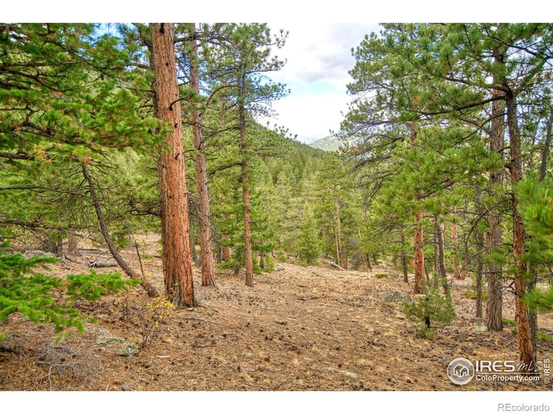 Windham Dr, Estes Park, CO 80517