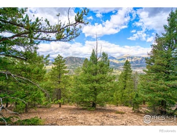 Windham Dr, Estes Park, CO 80517