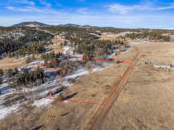 546 Alpine Meadows Ln, Florissant, CO 80816
