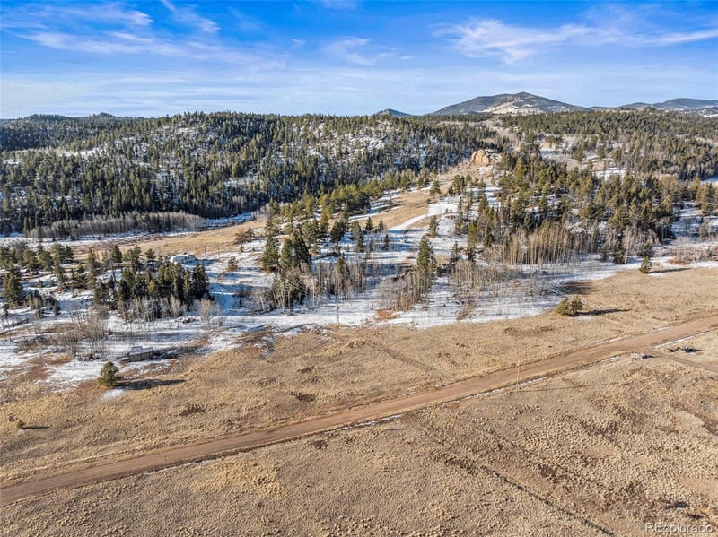 546 Alpine Meadows Ln, Florissant, CO 80816