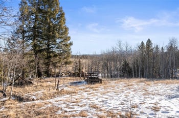 546 Alpine Meadows Ln, Florissant, CO 80816