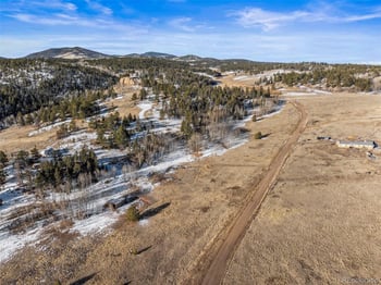 546 Alpine Meadows Ln, Florissant, CO 80816