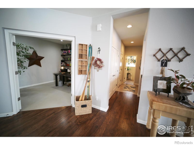 8241 White Owl Ct, Windsor, CO 80550