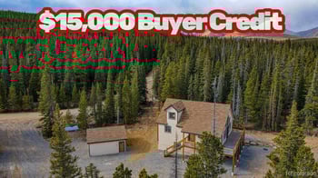 526 Porcupine Rd, Fairplay, CO 80440