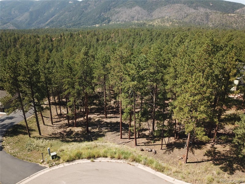 8141 Delaware Pl, Larkspur, CO 80118