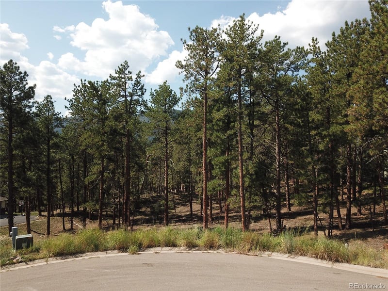 8141 Delaware Pl, Larkspur, CO 80118