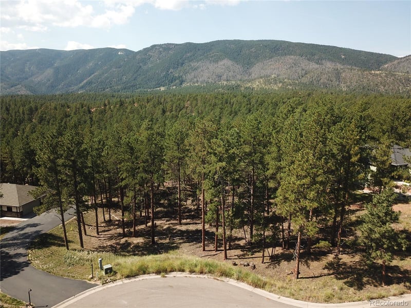 8141 Delaware Pl, Larkspur, CO 80118