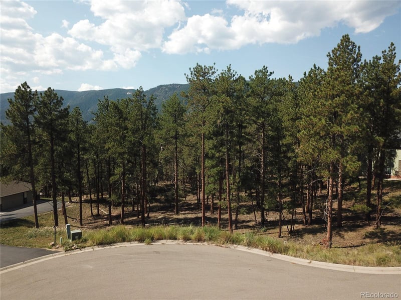 8141 Delaware Pl, Larkspur, CO 80118