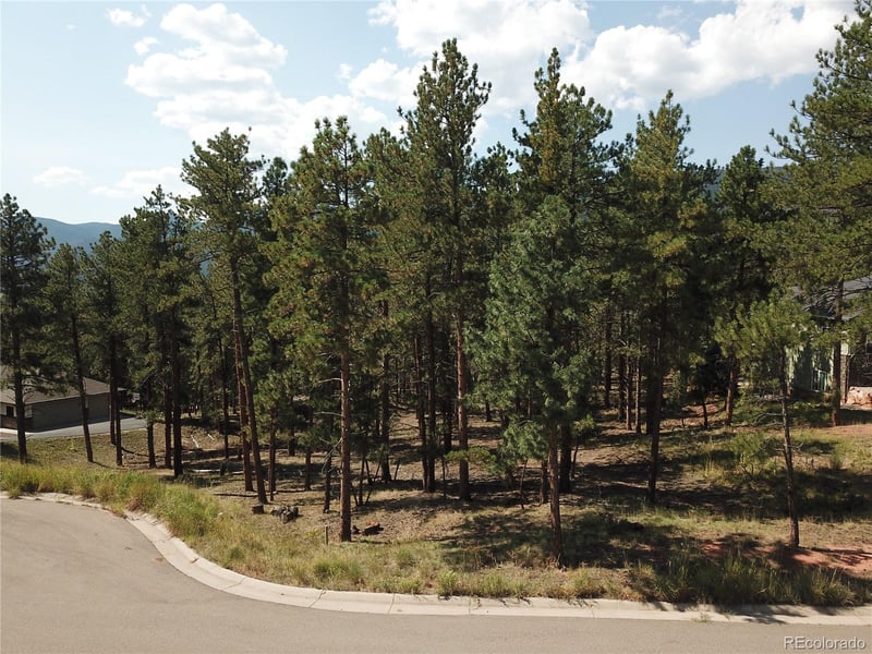 8141 Delaware Pl, Larkspur, CO 80118