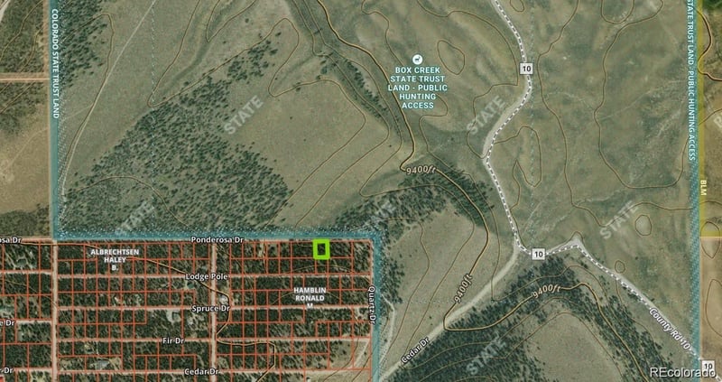 66 Ponderosa Dr, Leadville, CO 80461