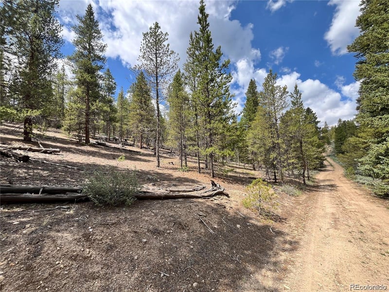 66 Ponderosa Dr, Leadville, CO 80461