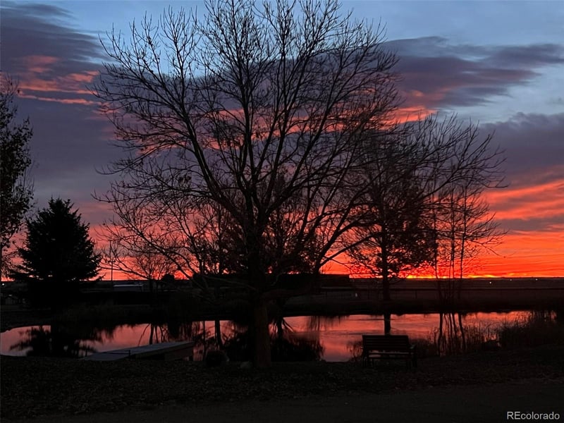 612 County Road 74, Wellington, CO 80549