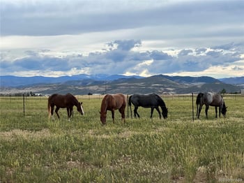 612 County Road 74, Wellington, CO 80549