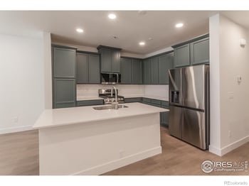 4894 River Roads Dr, Timnath, CO 80547