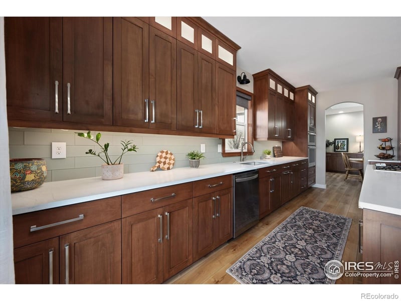 355 Antora Ct, Windsor, CO 80550