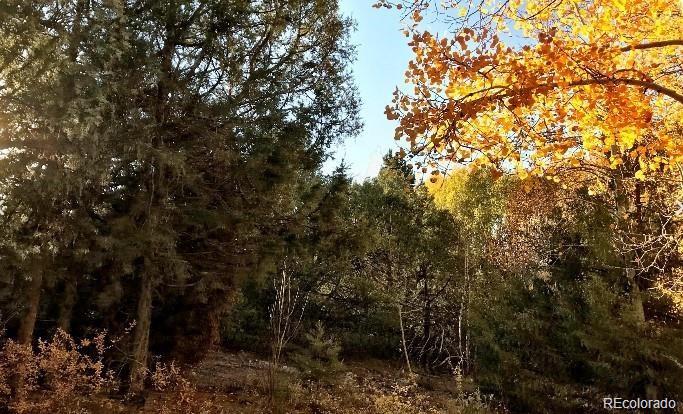 233 Lake Of The Falls Pw, Mosca, CO 81146