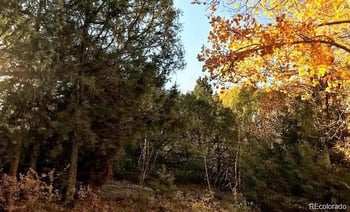 233 Lake Of The Falls Pw, Mosca, CO 81146