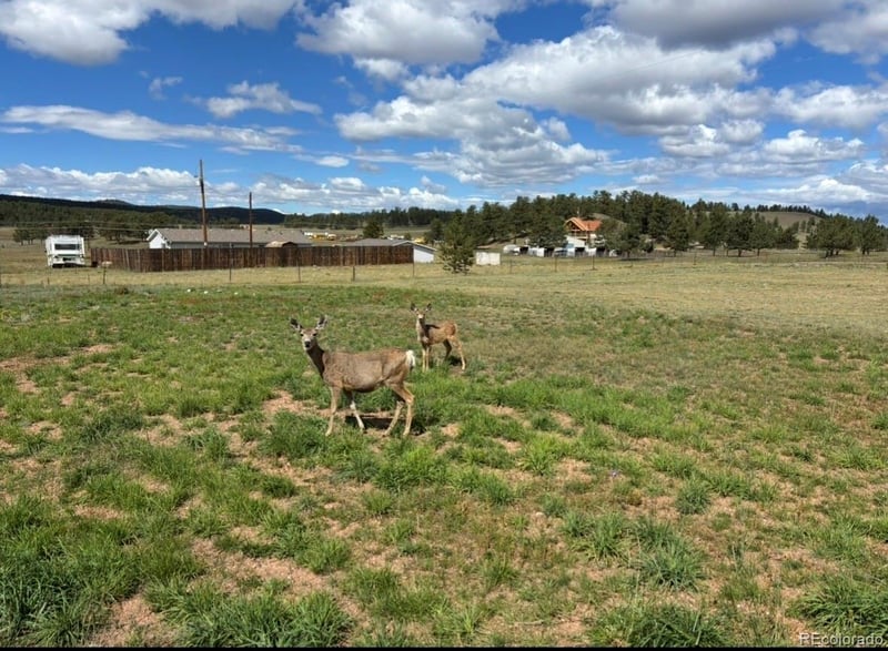 489 Duesouth Rd, Florissant, CO 80816