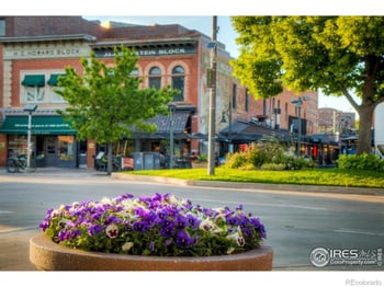 155 Mathews St, Fort Collins, CO 80524