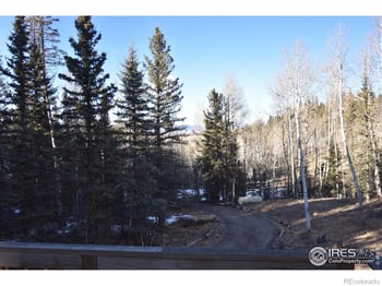 972 Quarter Horse Rd, Jefferson, CO 80456