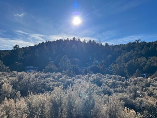 Lot 6016 Forbes Rd, San Luis, CO 81152