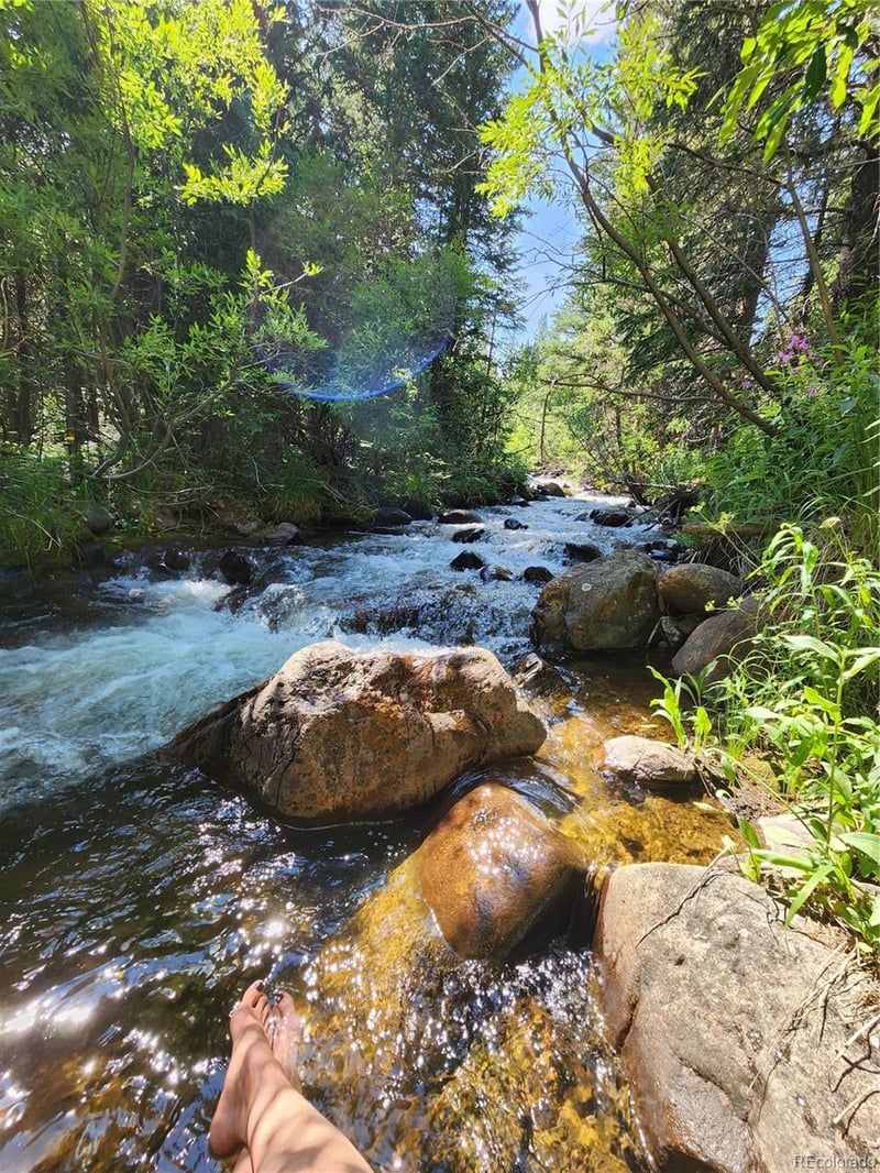 004 Rainbow Rd, Idaho Springs, CO 80452