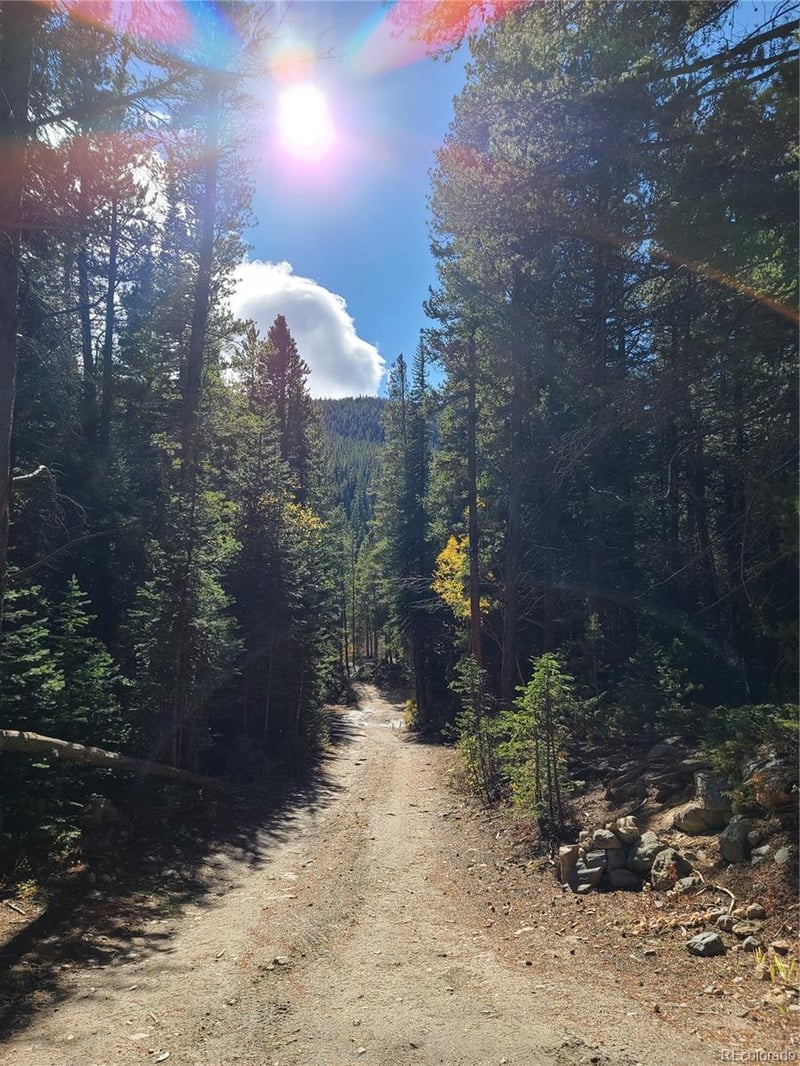 004 Rainbow Rd, Idaho Springs, CO 80452