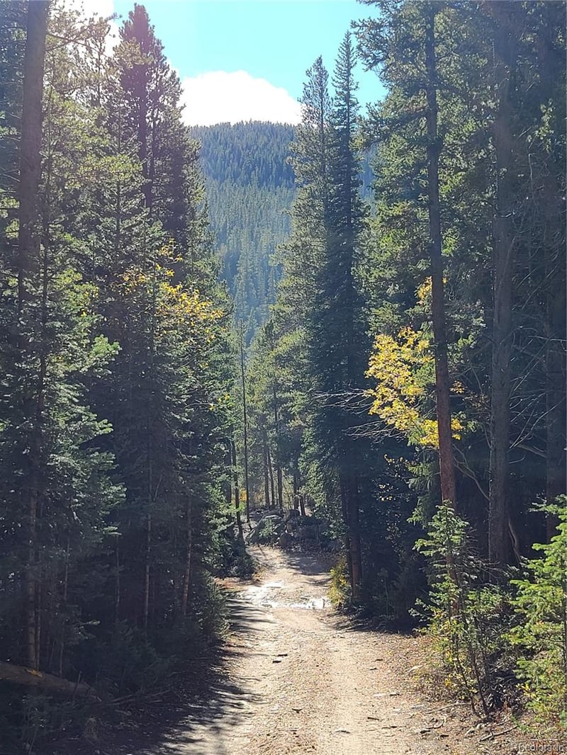 004 Rainbow Rd, Idaho Springs, CO 80452