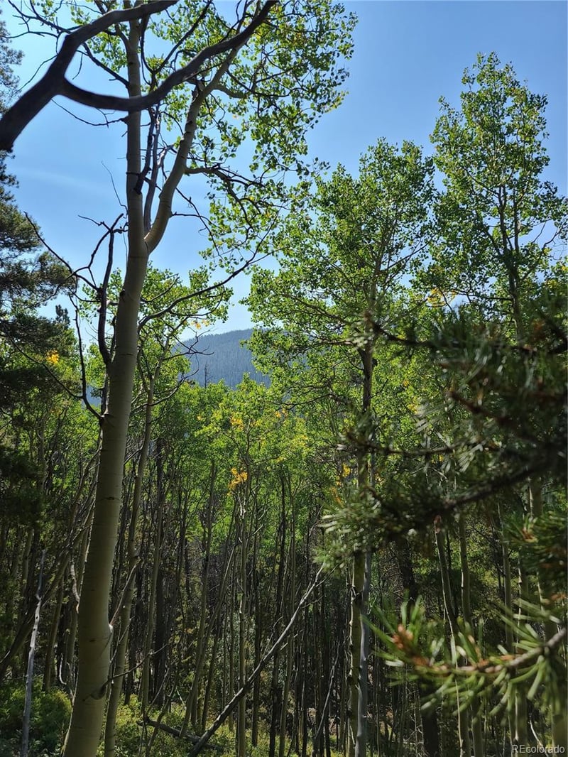 004 Rainbow Rd, Idaho Springs, CO 80452