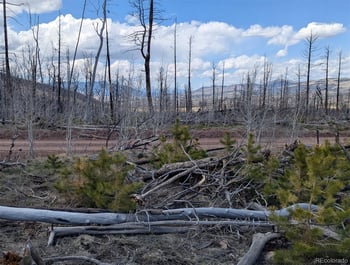 Lot 1882 , Fort Garland, CO 81133