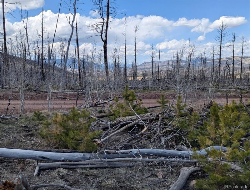 Lot 1882 , Fort Garland, CO 81133