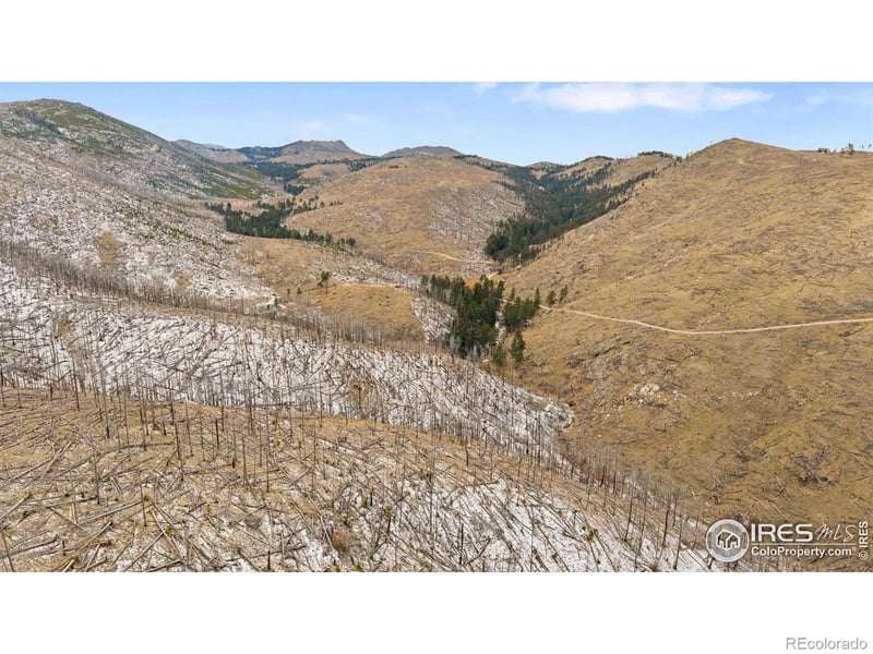 685 La Escena Dr, Bellvue, CO 80512