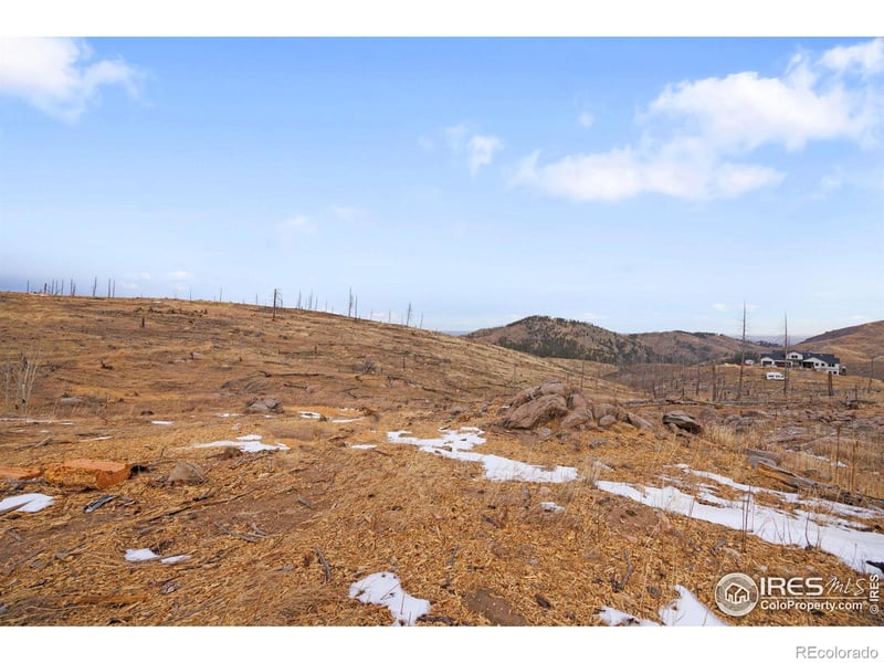 685 La Escena Dr, Bellvue, CO 80512