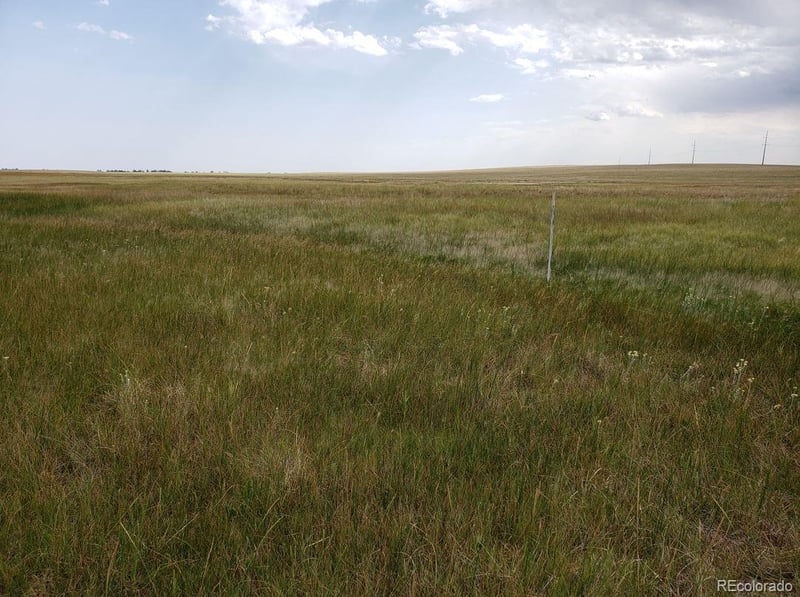 8155 Cowboy Ranch Vw, Peyton, CO 80831