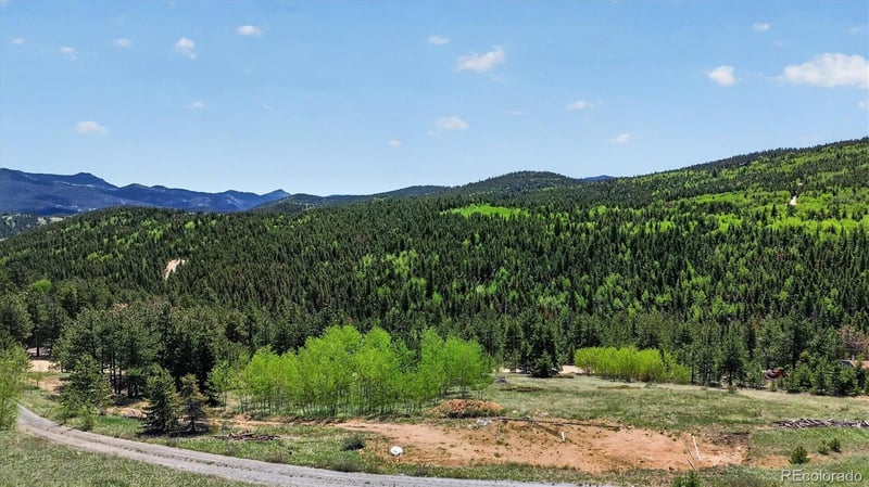 795 Russell Gulch Rd, Central City, CO 80427