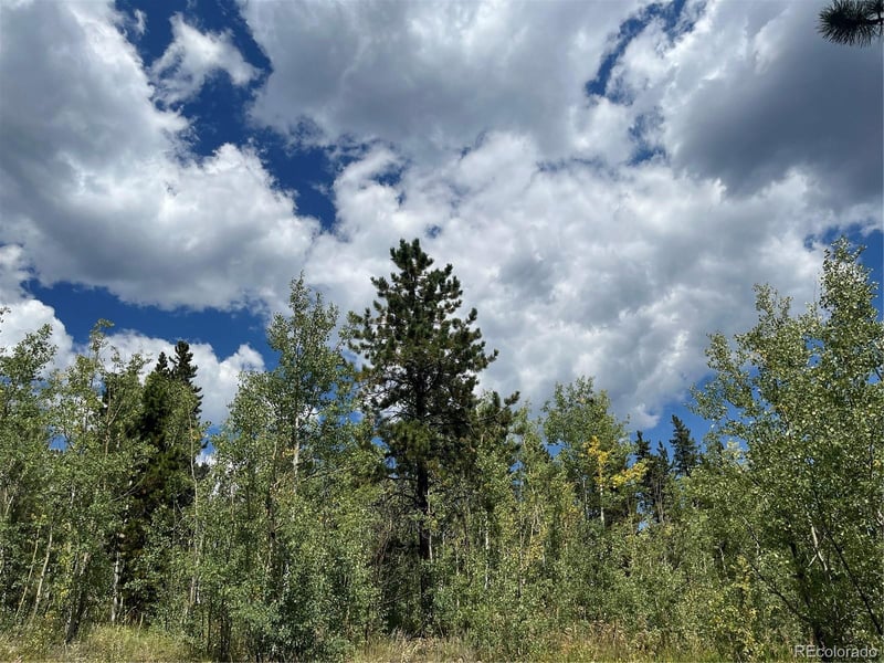 795 Russell Gulch Rd, Central City, CO 80427