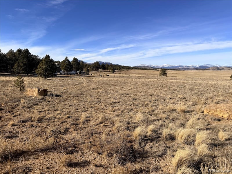 311 Harness Way, Hartsel, CO 80449