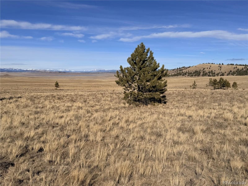 311 Harness Way, Hartsel, CO 80449